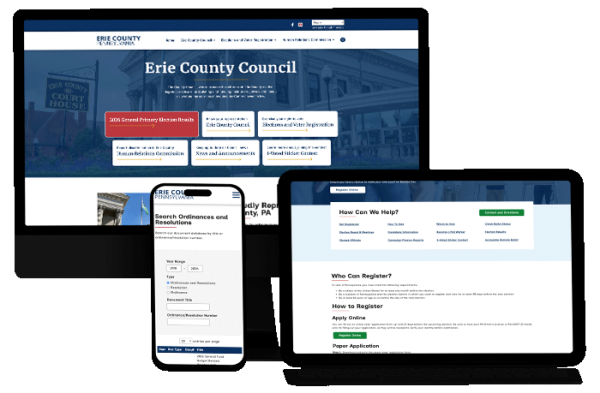 Stepping Up Accessibility for Government Website