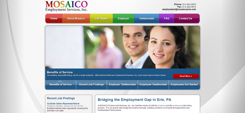 2013 Website Launches