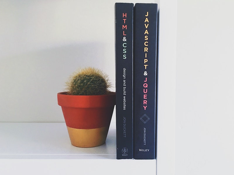 Two books standing next to a potted cactus