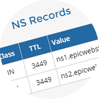 DNS Lookup